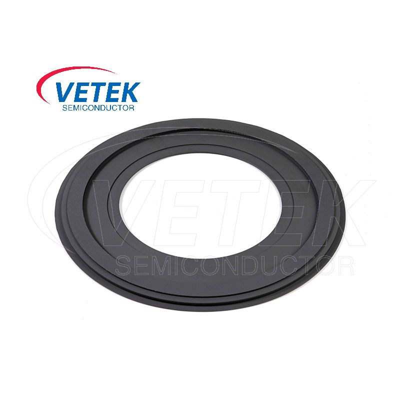 EPI -Waferhalter