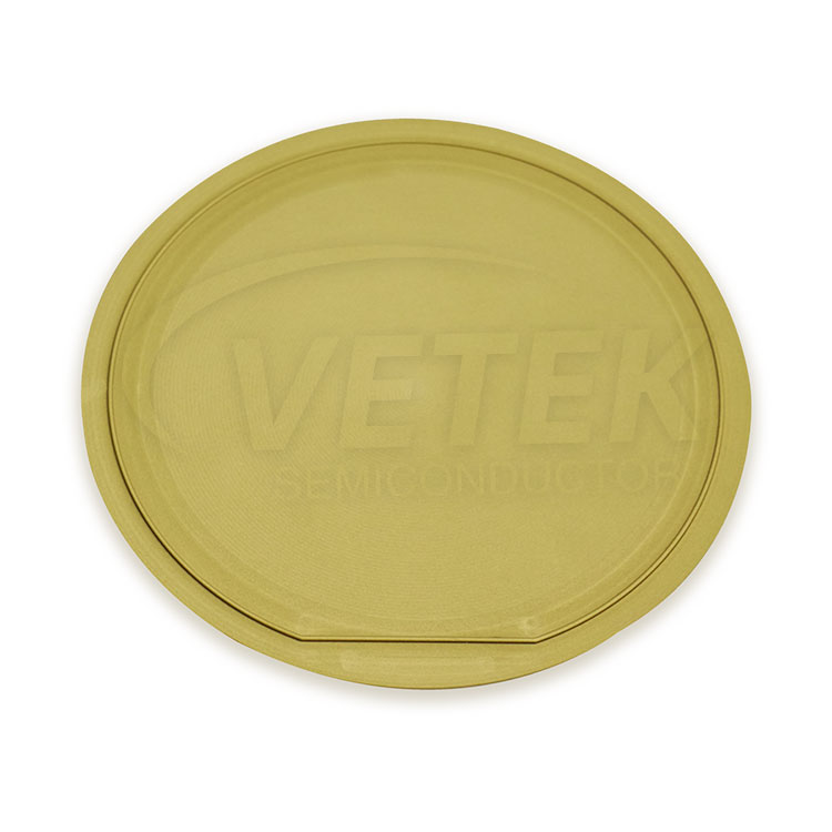 TAC Coated Graphit Wafer Carrier